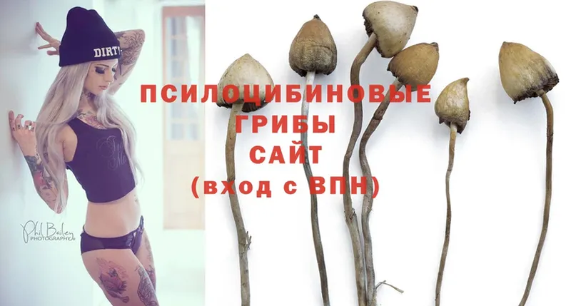 Галлюциногенные грибы Magic Shrooms  Котельнич 